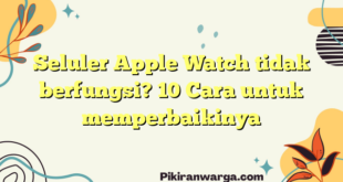Seluler Apple Watch tidak berfungsi?  10 Cara untuk memperbaikinya